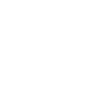 Bridge Brewing